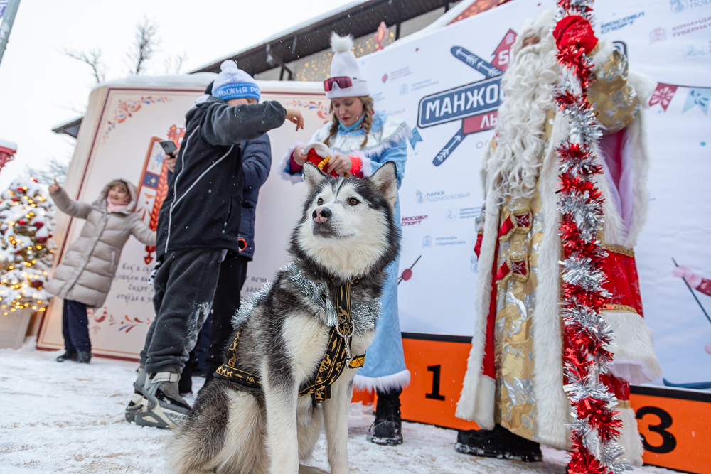 56‑я Манжосовская лыжная гонка в Одинцово