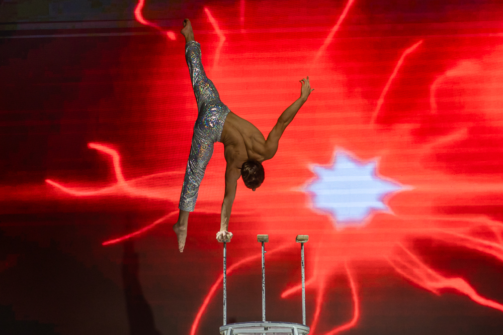 Ёлки главы Одинцовского округа