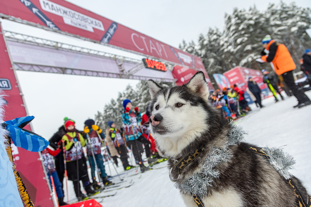 56‑я Манжосовская лыжная гонка в Одинцово