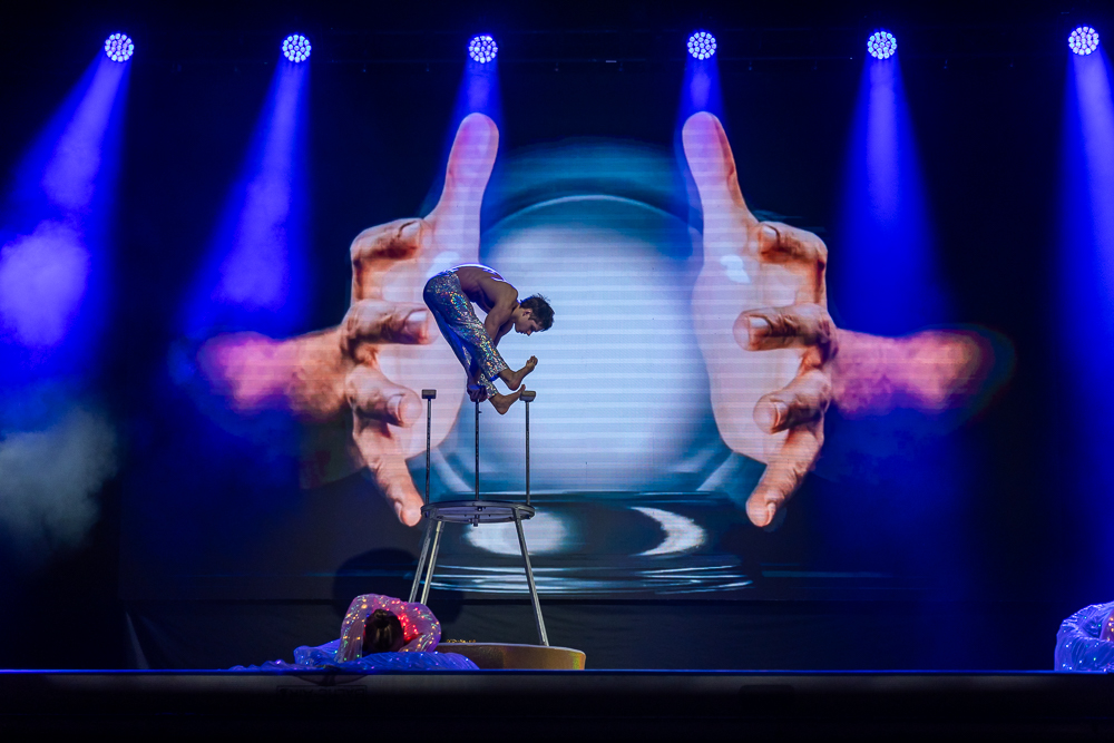 Ёлки главы Одинцовского округа