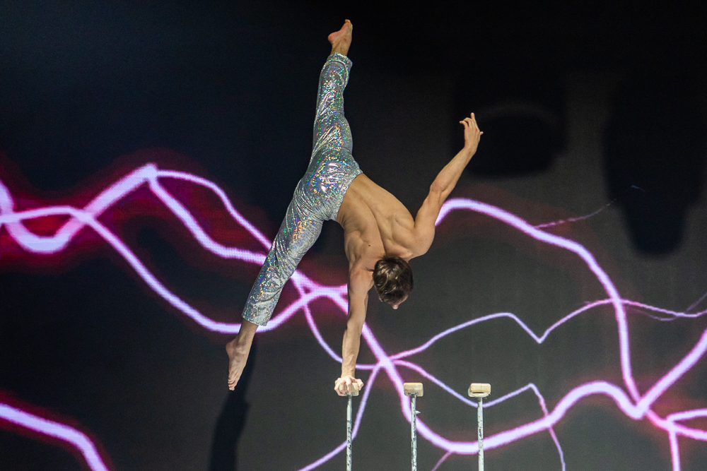 Ёлки главы Одинцовского округа